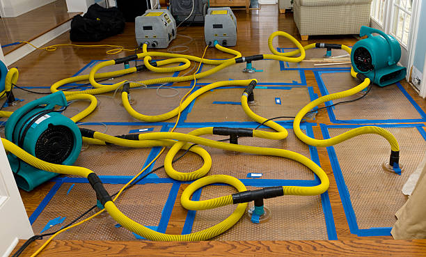 Professional Structural Drying And Dehumidification technician working in Centerville, UT